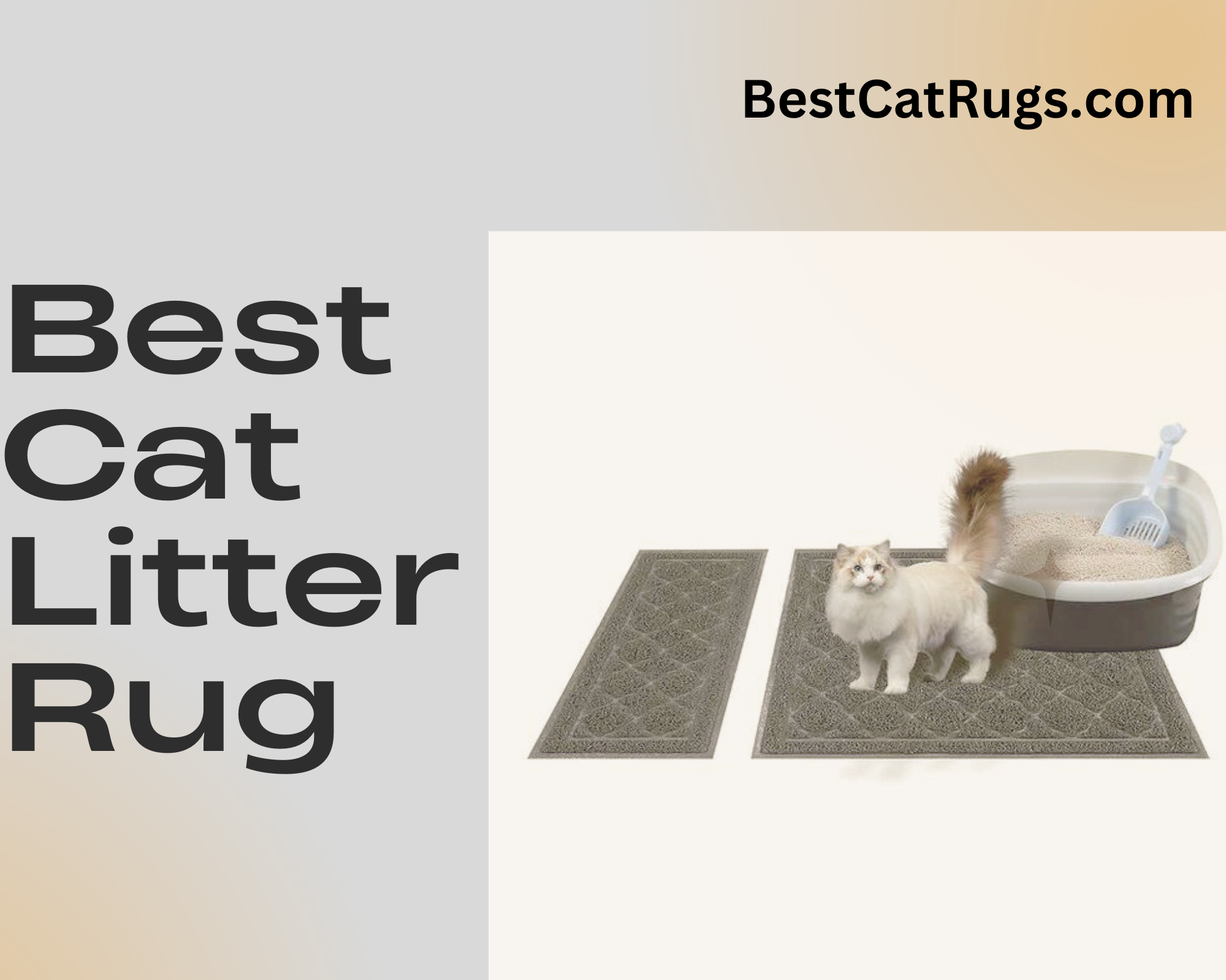 best cat rugs