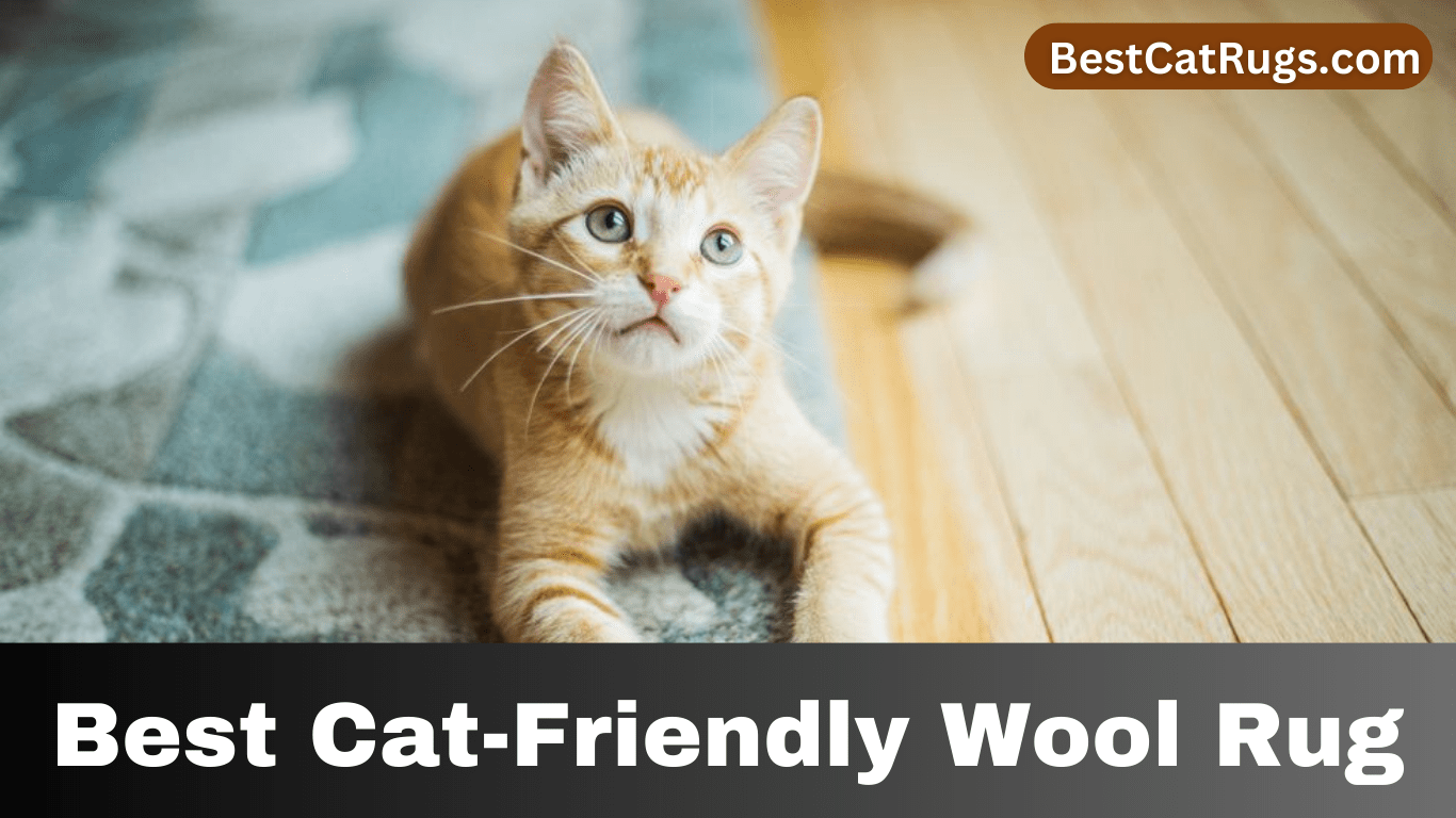Best Cat-Friendly Wool Rug