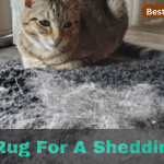 Best rug for a shedding cat