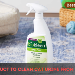 Best Product To Clean Cat Urine From Wool Rug