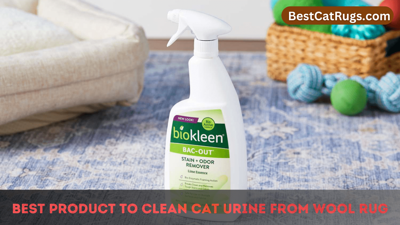 Best Product To Clean Cat Urine From Wool Rug