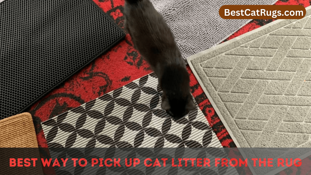 Best Way To Pick Up Cat Litter From The Rug