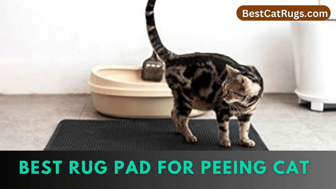 Best Rug Pad For Peeing Cat