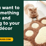 What is a Cat Paw Rug?