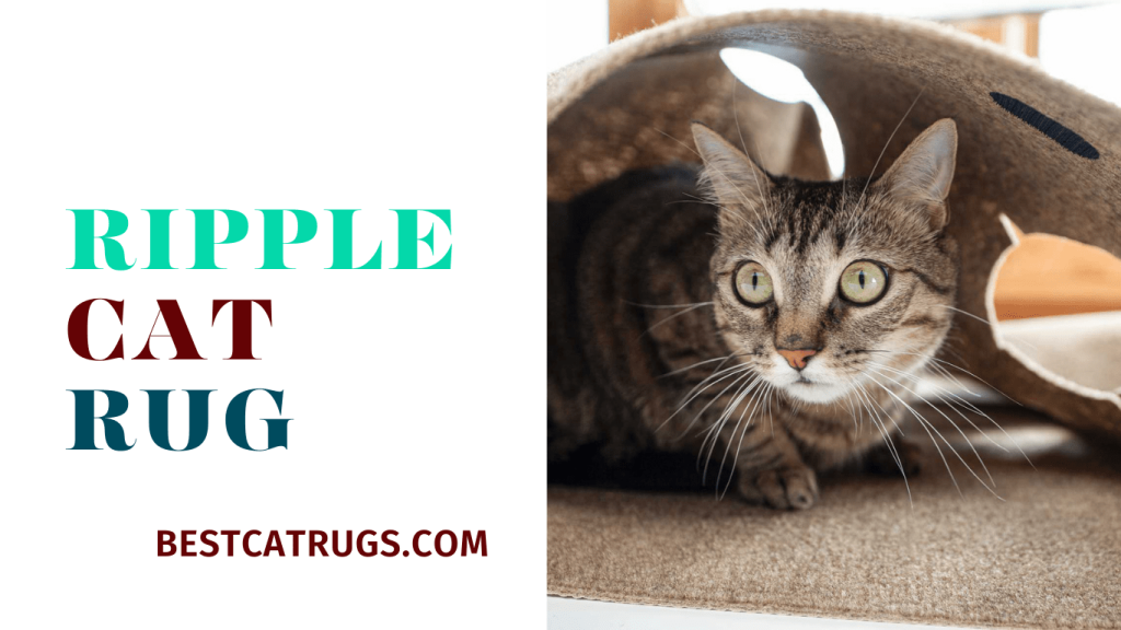 ripple cat rug