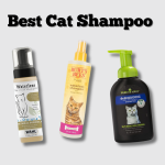 Best Cat Shampoo