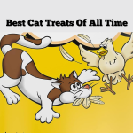 Best Cat Treats Of All Time