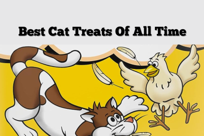 Best Cat Treats Of All Time