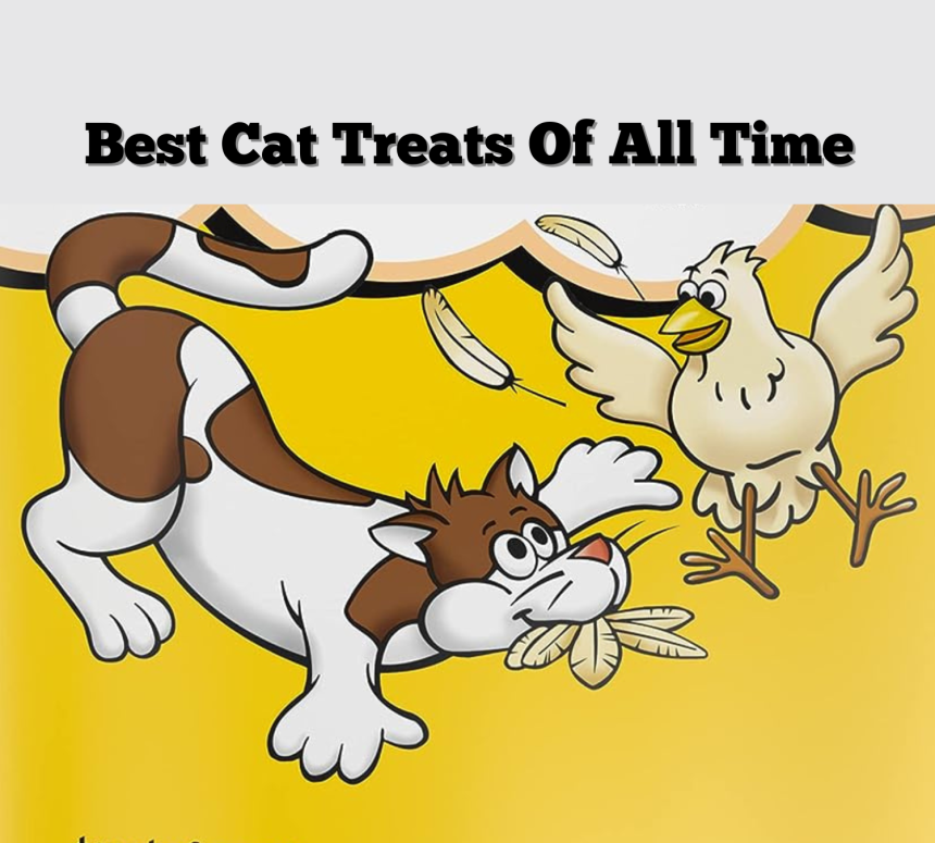 Best Cat Treats Of All Time