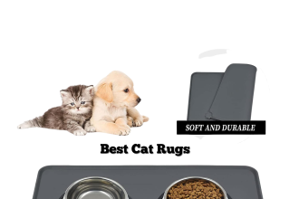 Best Cat Rugs
